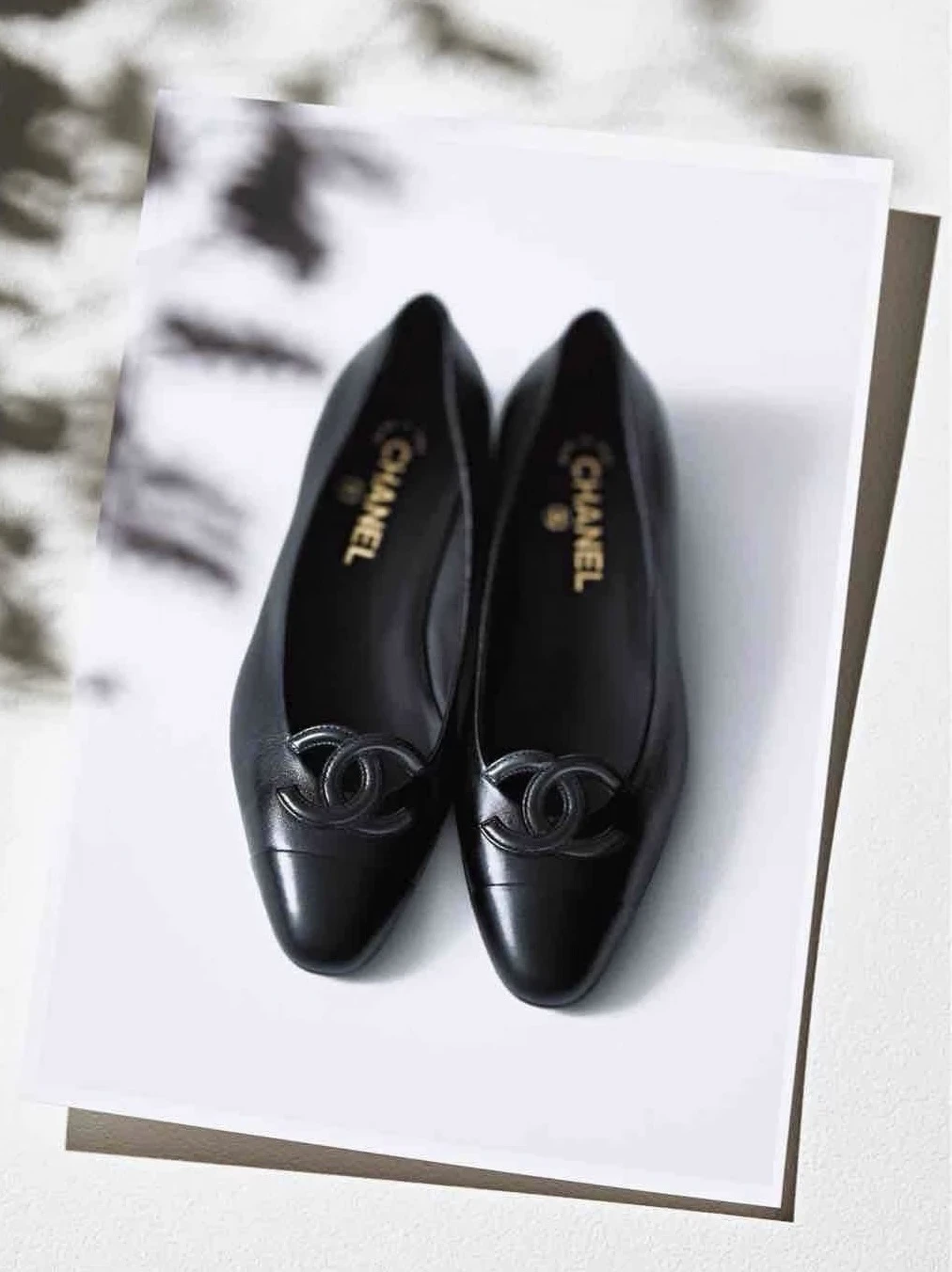 CHANEL