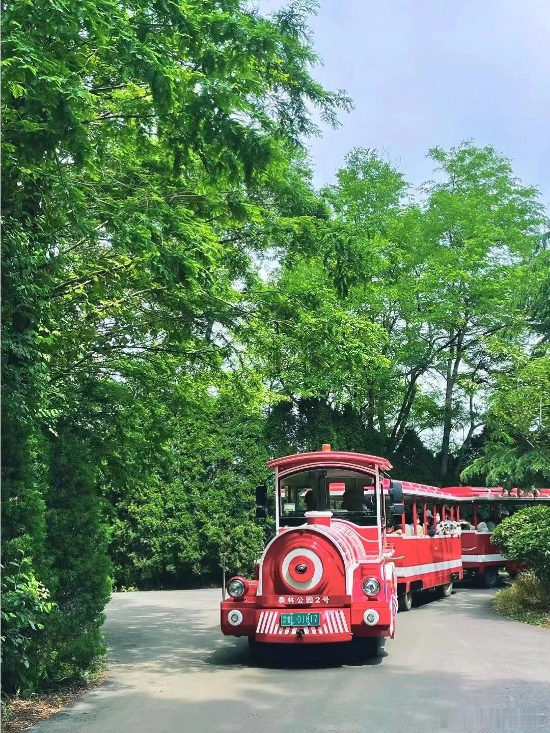 盛夏追光之旅微博旅行ing草海苍翠，风车林立，日照这座夏天的小城，就像是从漫画里