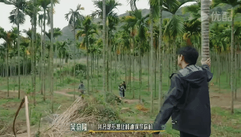 #53岁吴奇隆跑得比时代少年团还快#吴奇隆宝刀未老[努力]没想到吴奇隆还是柔道黑