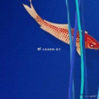 每日一善 生活偶尔会让我们感到疲惫，那些藏在心底的焦虑、无人诉说的委屈，还有悄悄