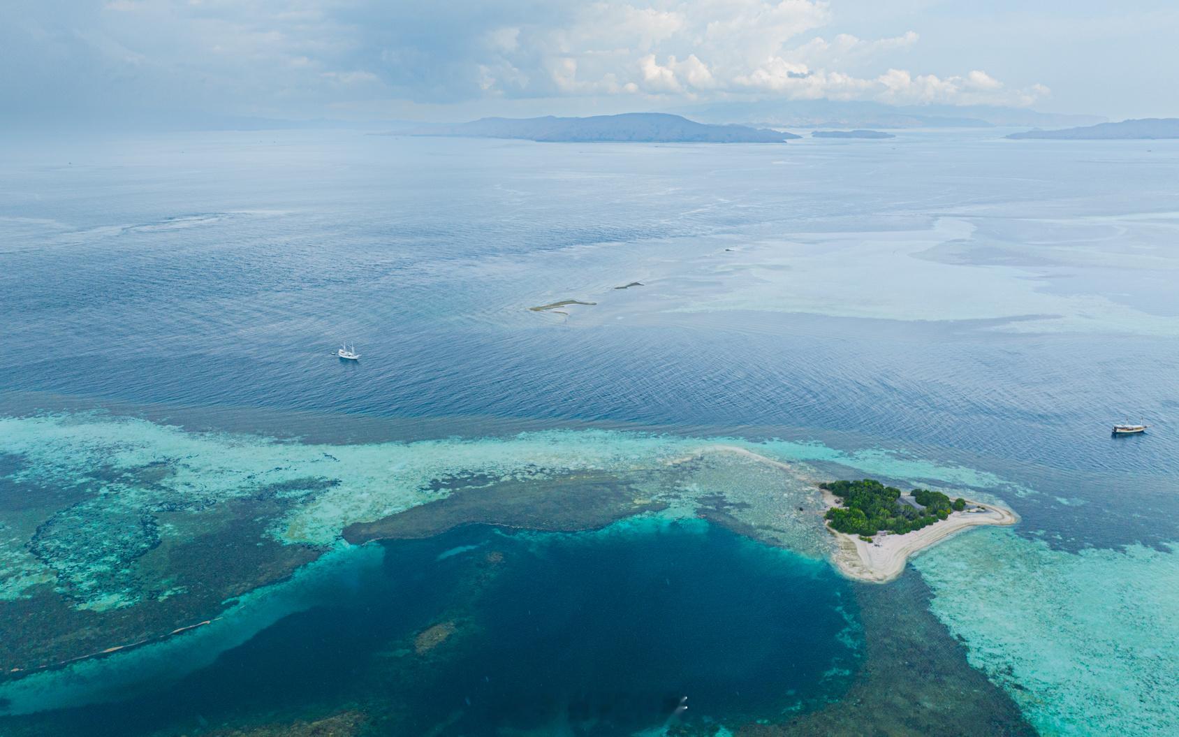 珊瑚是什么颜色的？蓝色、绿色、黄色？不同的海水深度和角度，我们看到的颜色都不太一