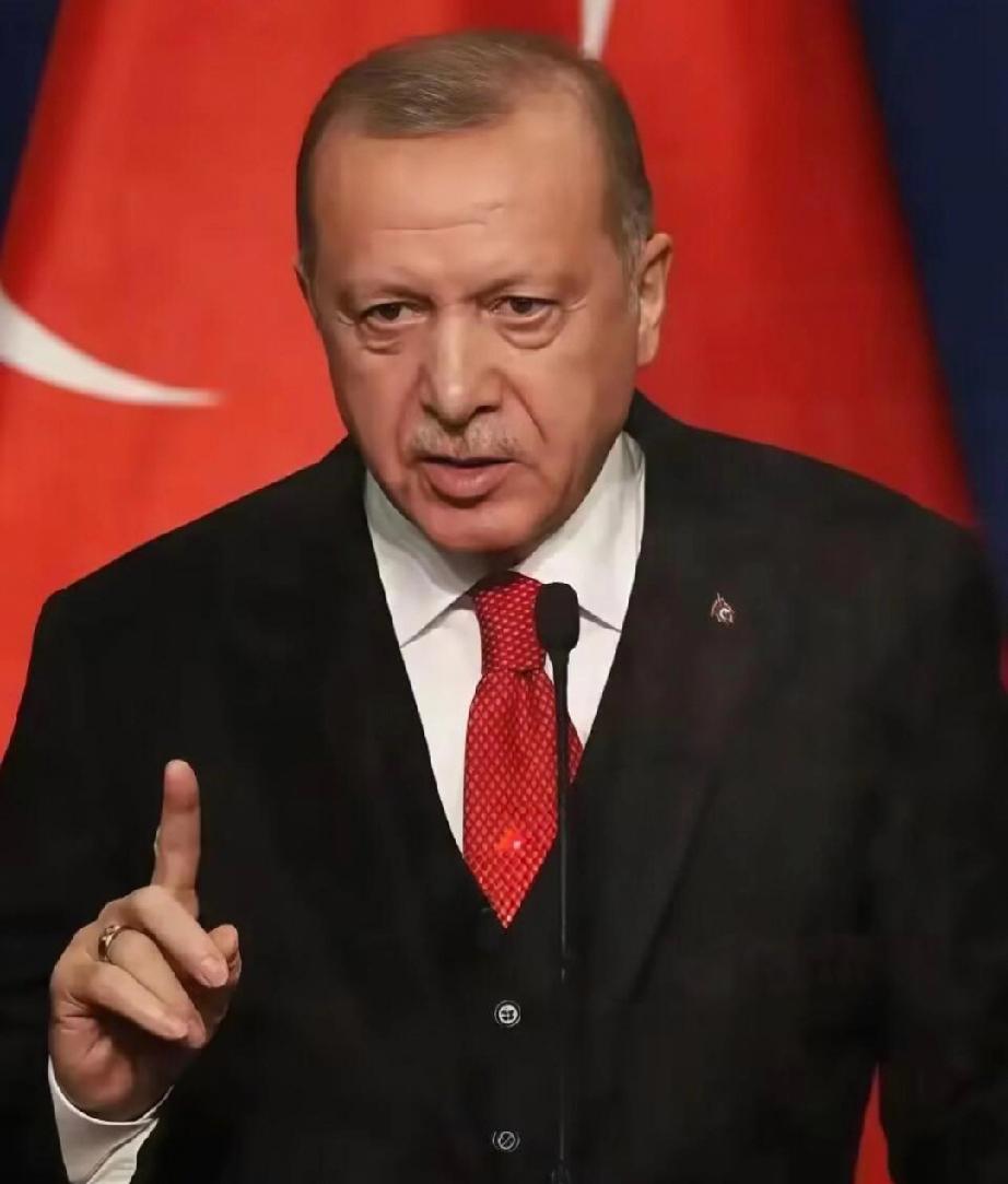 土耳其消息
4月17日，土耳其总统埃尔多安在昨天的安塔利亚外交论坛上，当着全世界