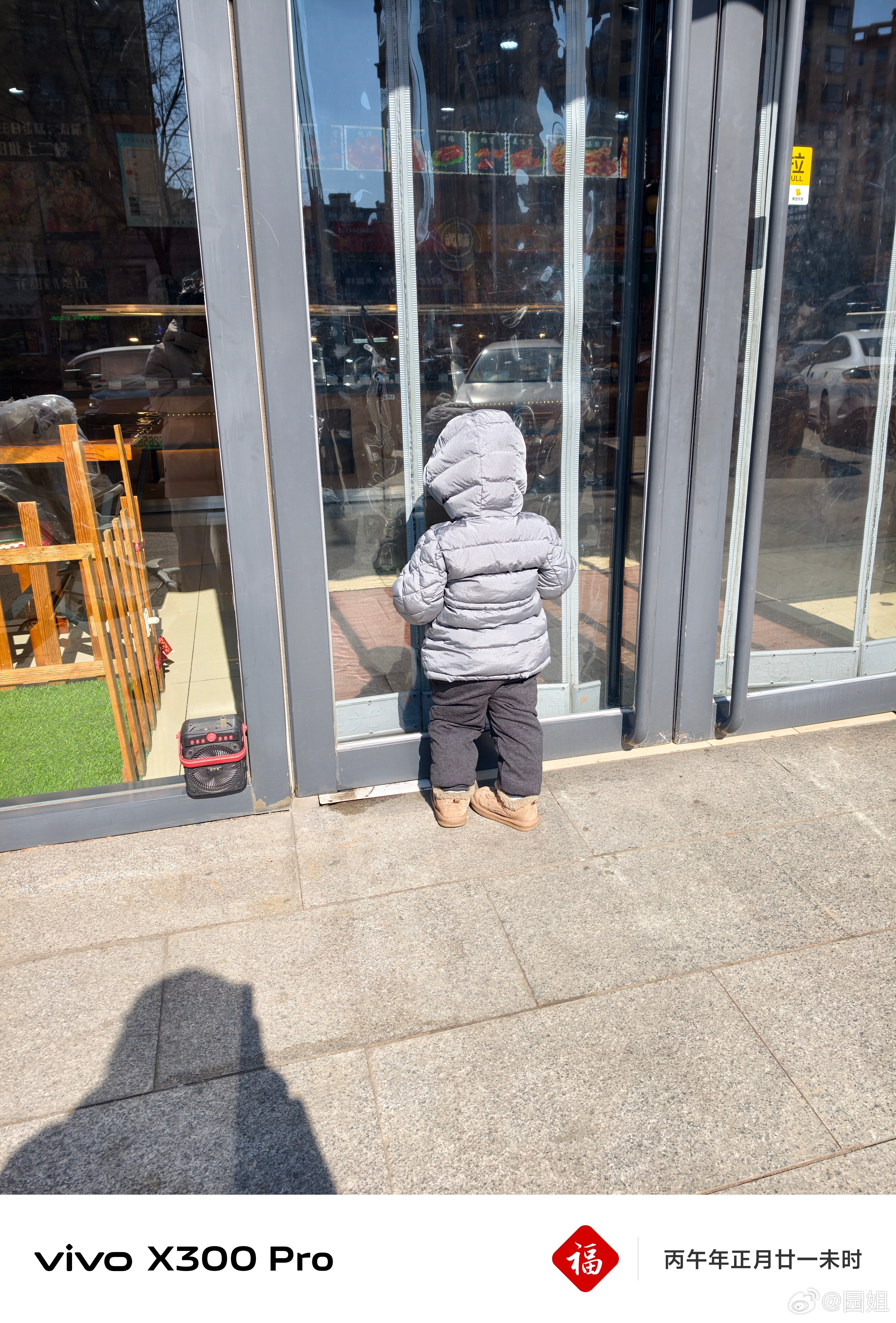 领他出去溜达溜达，走到烤鹅店就不走了。拉也不走，哄呀不走就是要吃肉