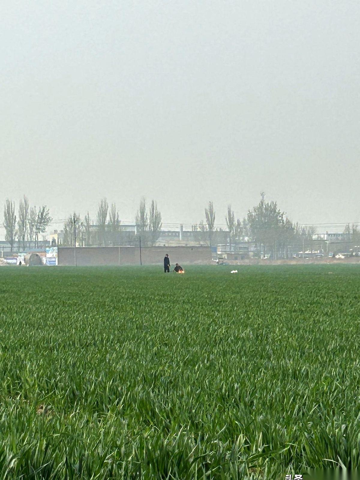 清明节，到我爹娘坟前，我从来不掉一滴泪。
这不是没良心，这是我家的规矩。我告诉家