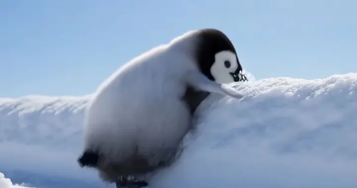 港大开源ViMax火了，实现AI自编自导自演