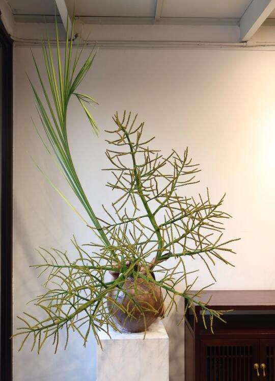 每到这个时候就希望自己有个哆啦a梦百宝袋～