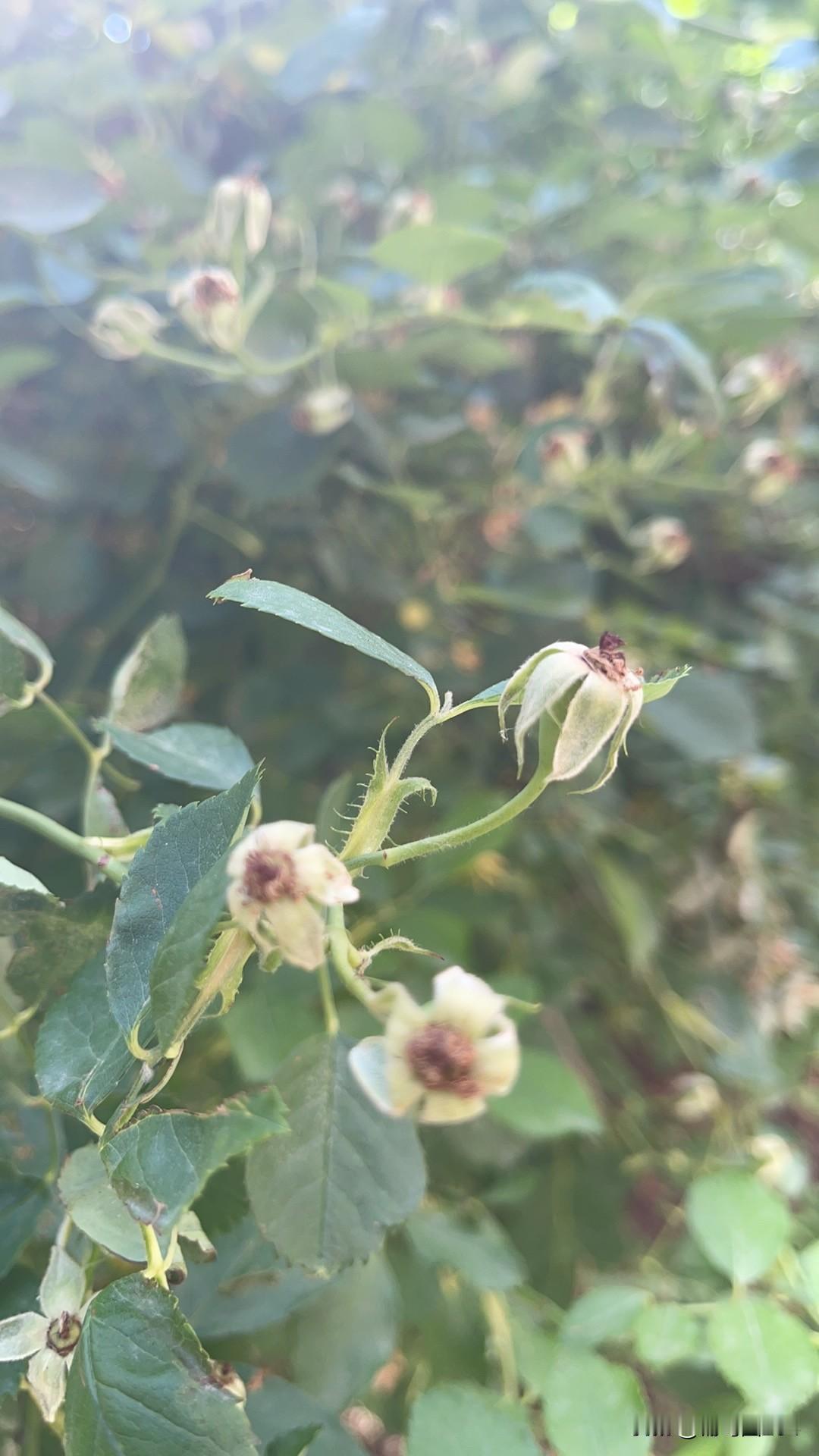 说说昨天的欢乐二打一节目……
很多人说一个选手孙玉国打的不好，我倒是觉得他打的很