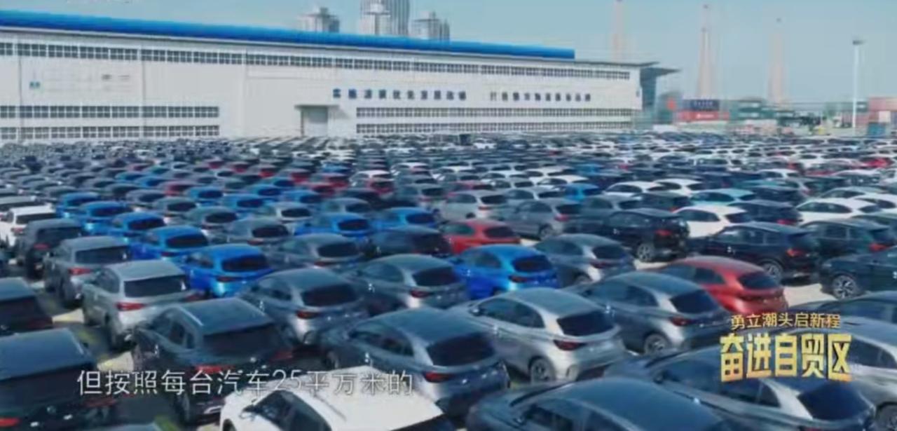 自贸试验区的汽车集散中心内，成百上千辆汽车密集排布，汇成壮阔的产业图景。传统仓储