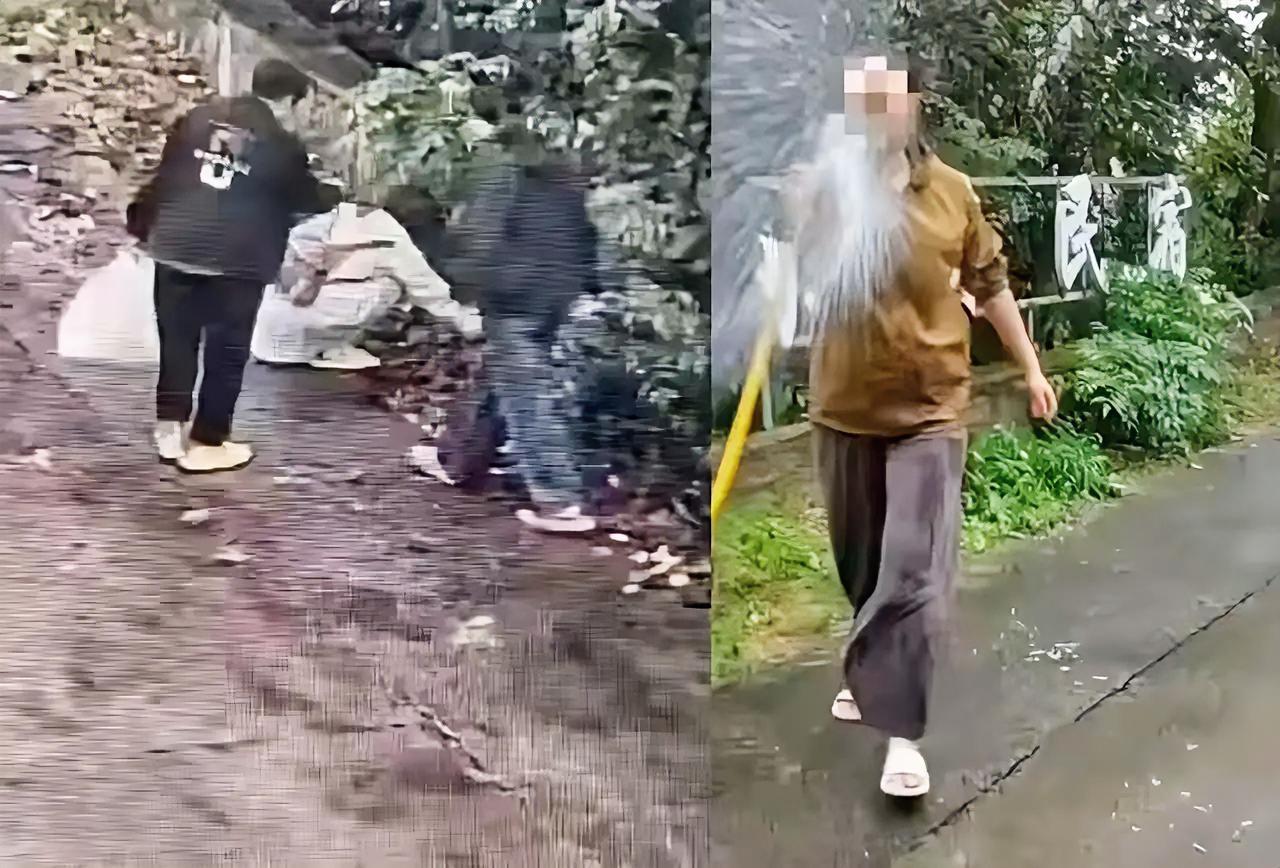 花果山游客捡板栗遭民宿老板追责后
景区发声明说板栗能捡游客没偷
老板前一秒还用水