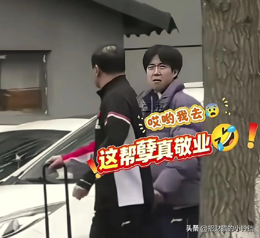 天哪，谁想出来的好办法，咋都当起知了猴，上树上去了呢？怪不得叫“树透社”呢。
球