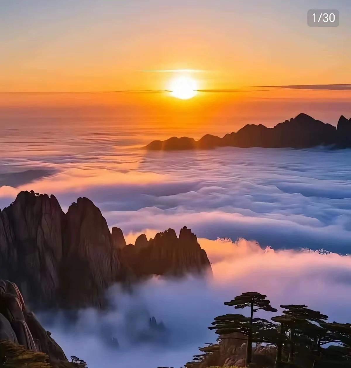 原创诗联首发
续诗《朝圣》
千里沙尘万里风，
日暮途宿月伴行。
一步一拜一叩首，