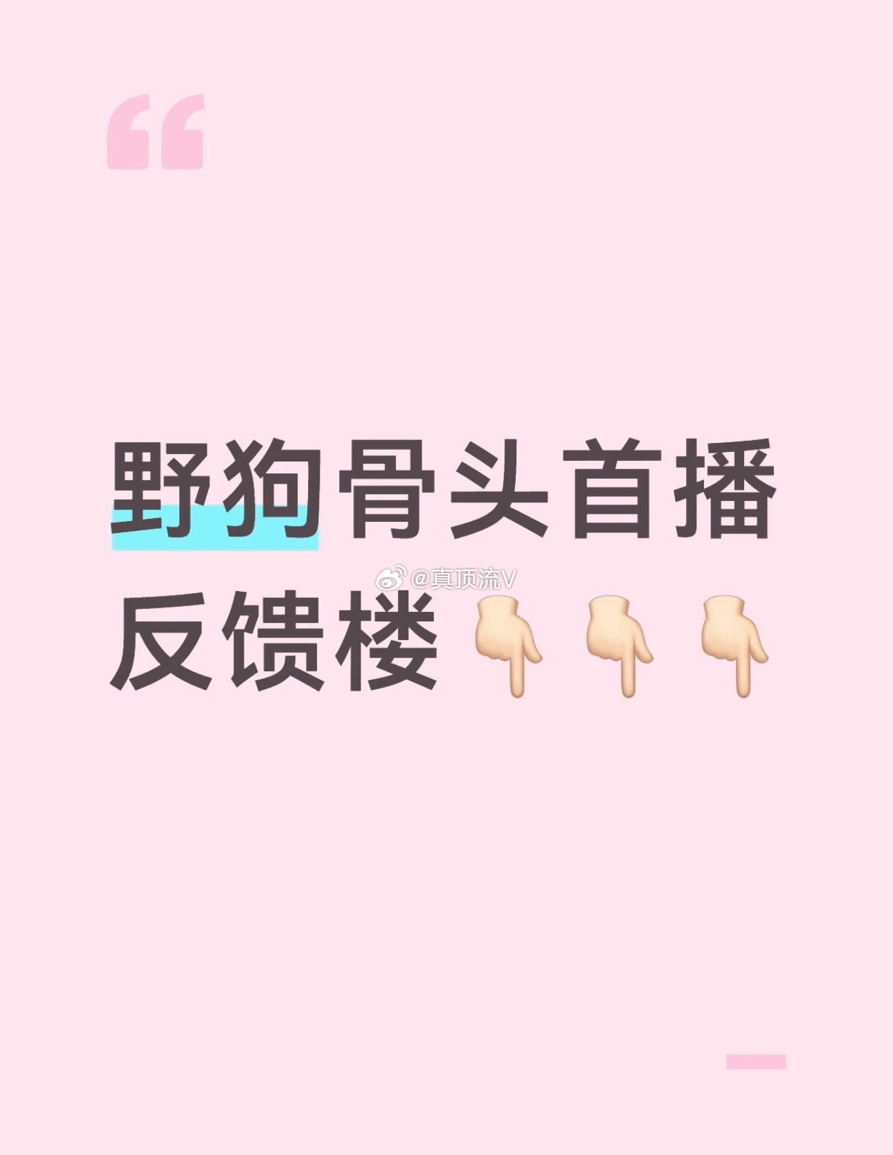 野狗骨头首播反馈贴，好看吗？野狗骨头好好看张婧仪