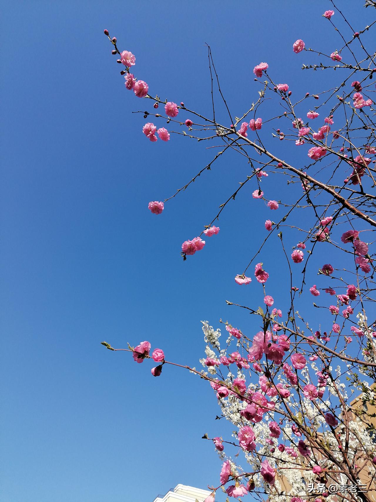 上了年纪之后，我渐渐地接受了自己很多的变化，也接受了别人的很多变化。

别人对我