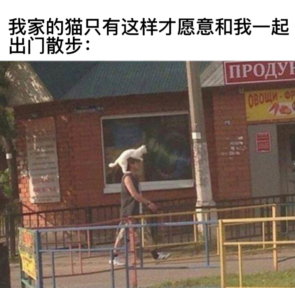 巨人的肩膀#今日memes# //#新年快乐漫游指南# //#转发接龙开新年# 