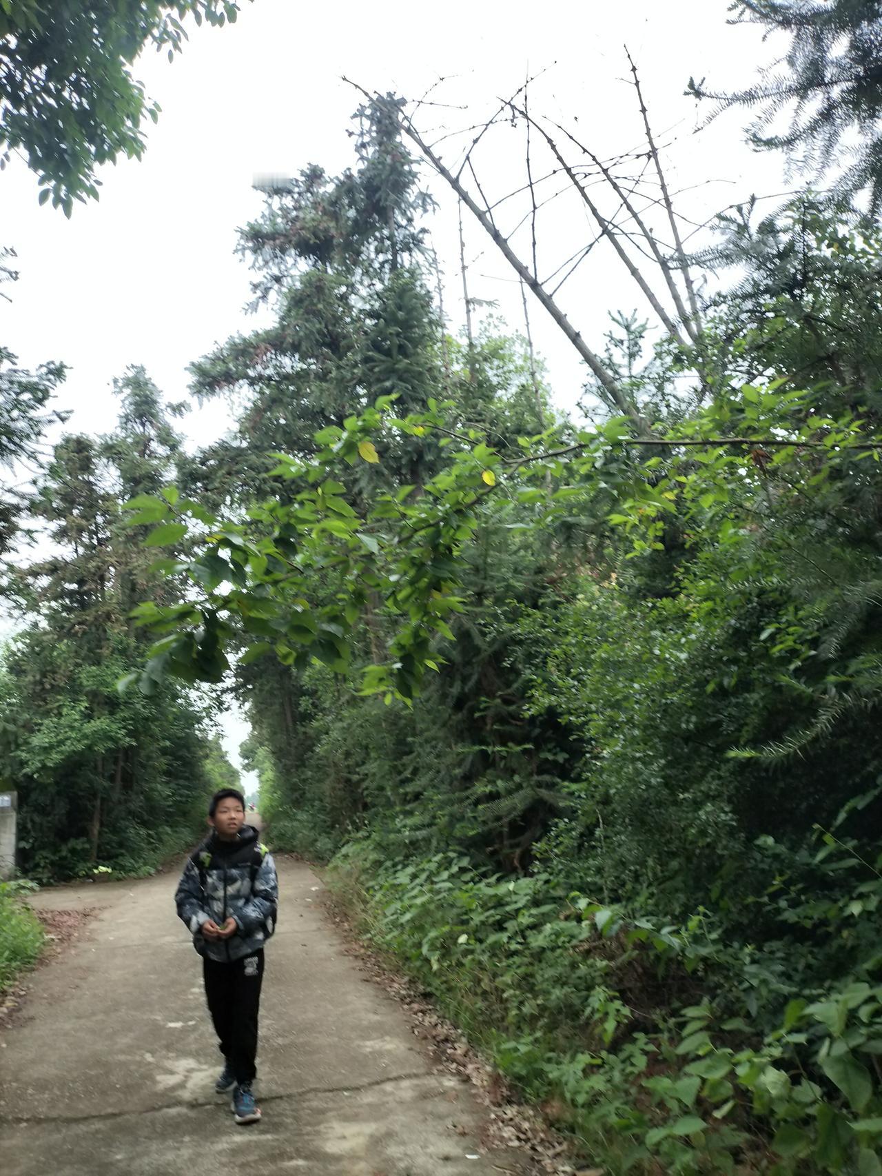 挺心疼我的儿子，他每天一个人在租房，因为我在老家干农活，不能照顾他，他自己学会了