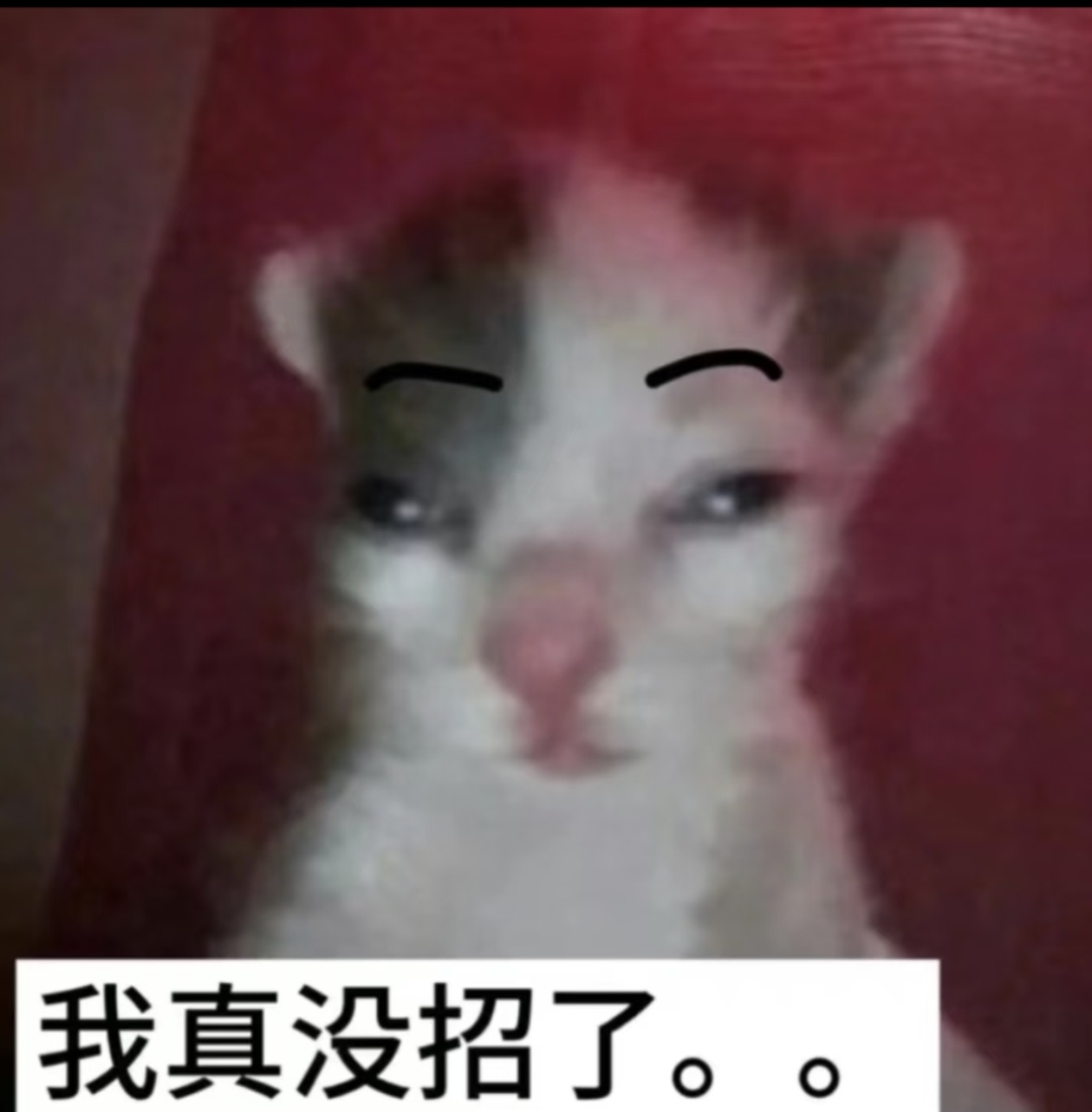 拼尽全力终于没有力气了 