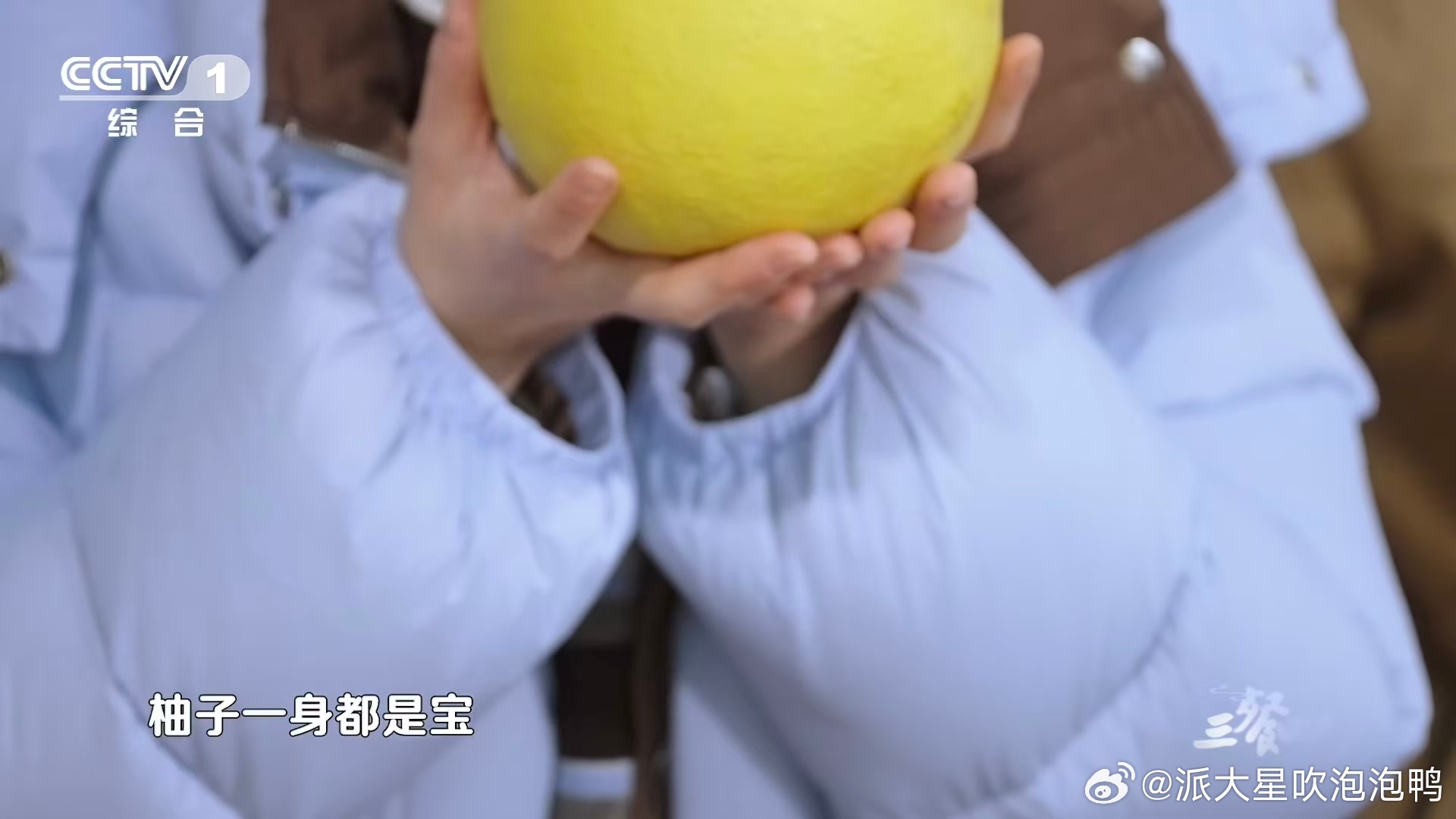 全国五分之一的柚子产自这里 又涨知识了！柚子皮还能和牛肉同炒，全国五分之一柚子都