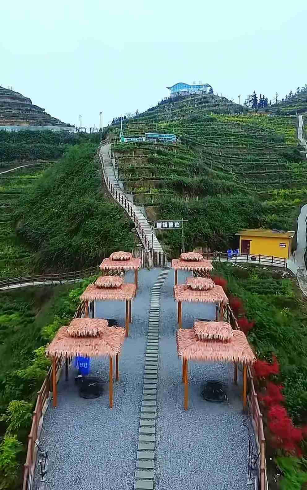 弱弱地问一句:如果一个人身体有伤，是及时治愈好，还是慢慢治愈好？希望大家不要去联