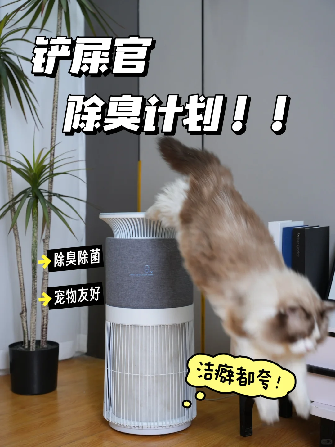 养猫星人必看！洁癖伙伴都夸爆除臭神器！