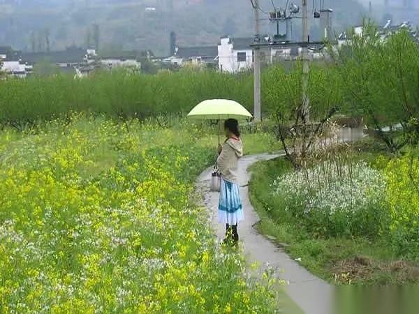 平台给了我一个“新锐创作者”的身份，最实在的好处，就是每周都有一笔激励金打到账上