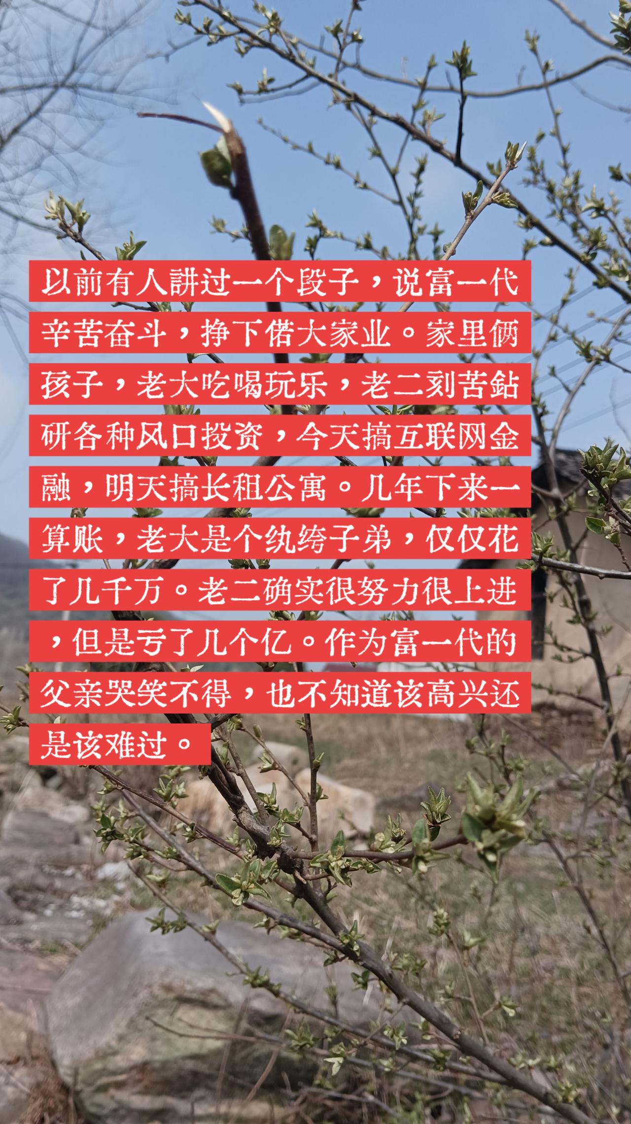 富豪的两个儿子。大儿子吃喝玩乐，纨绔子弟，几年花了几千万，二儿子创业不断，努力上