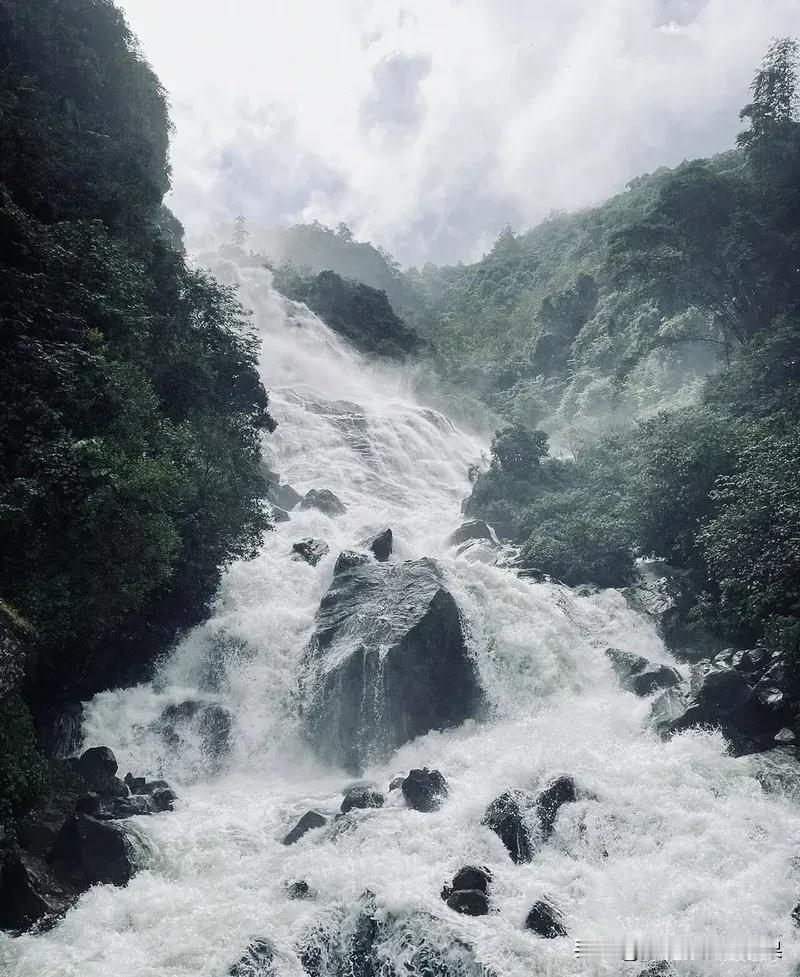 一生要出片的中国女人，硬生生在国庆档把原始深林——哀牢山给整爆火了

哀牢山自己