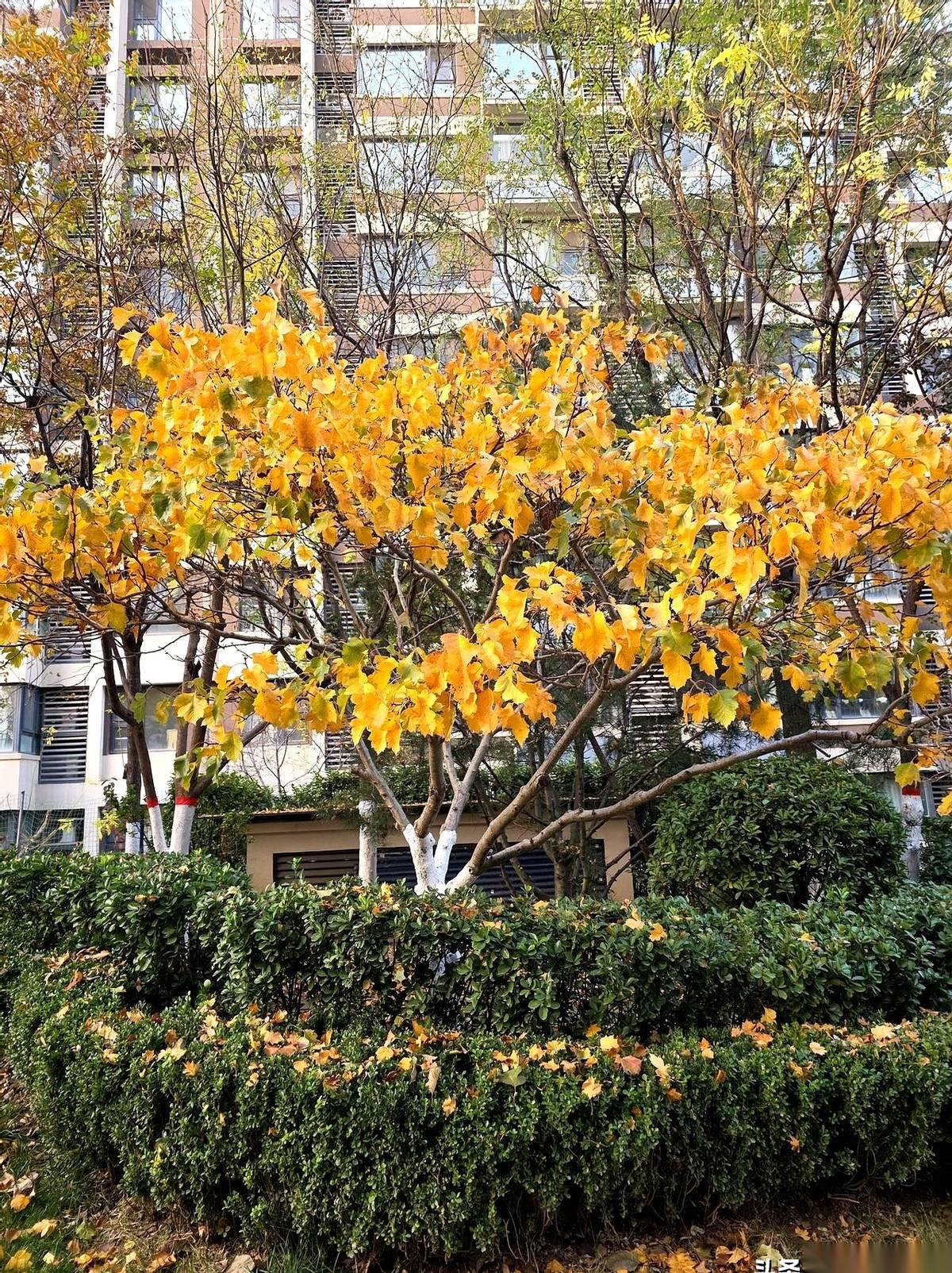 那个你恨不得从记忆里连根拔起的人。
对，就是他。
他也是来渡你的。
是不是听着特