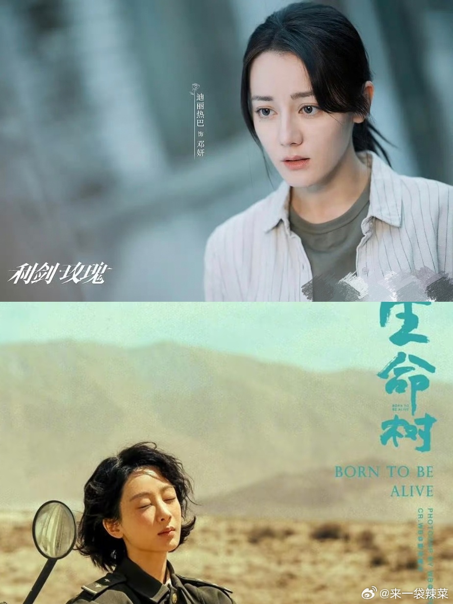 白玉兰入围名单网友说迪丽热巴《利剑玫瑰》对标杨紫《生命树》，赵丽颖《小城大事》对