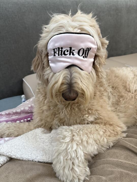 Mood