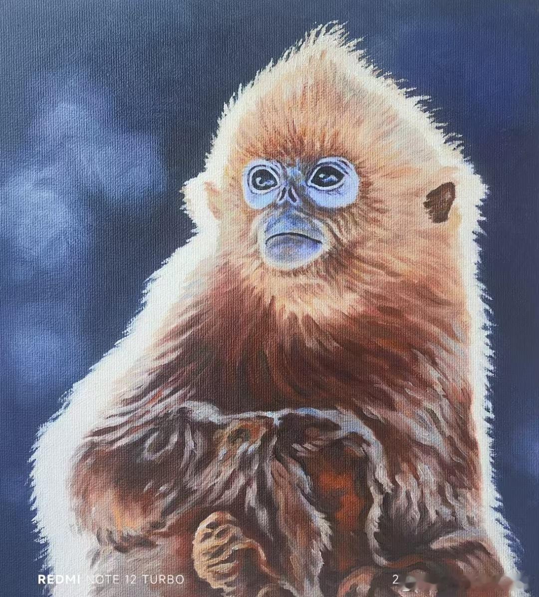 好朋友世界金丝猴油画之父都天贵作品全面走向世界。神农架风情走进悉尼《都天贵、都乐
