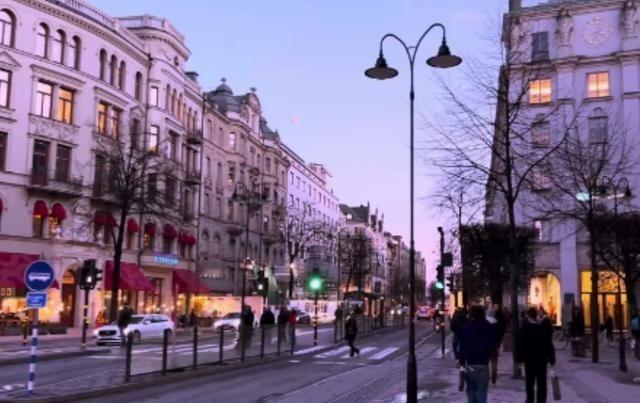 为什说瑞典没几个中国人待得住？这么说吧，在瑞典生活几个月，就算不疯也得抑郁。
很