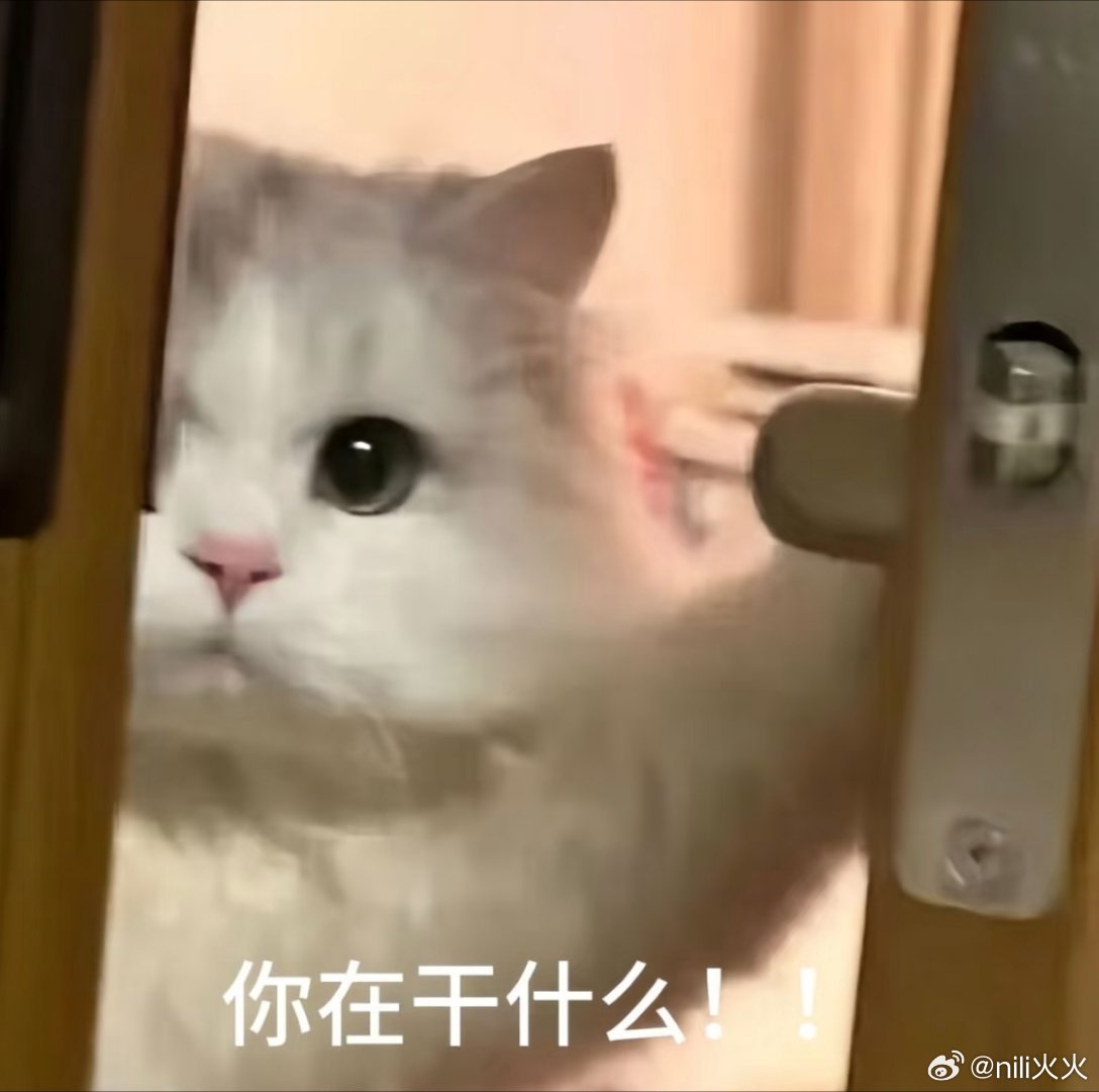 突击调查！你在干嘛？无聊中，怎么明天才是6号啊 