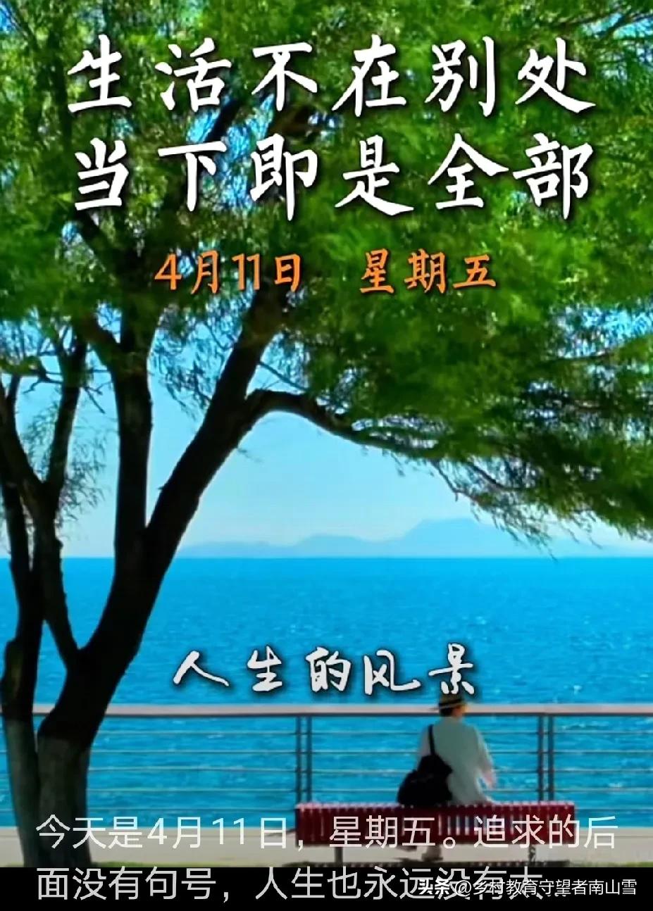 （手机拍摄：南山雪，原创图片，使用请注明出处，首张图片源自新华社，版权归原作者所