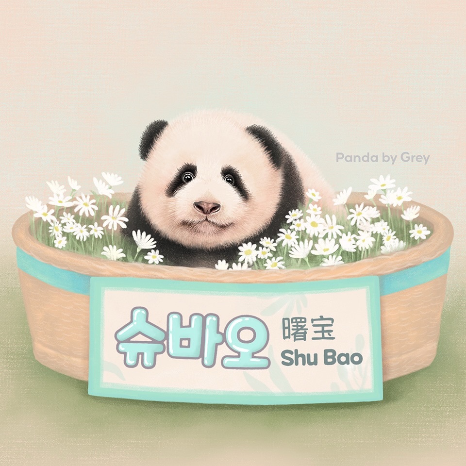 大熊猫曙宝[超话]  cr:panda by grey最喜欢的艺术家（也可以理解