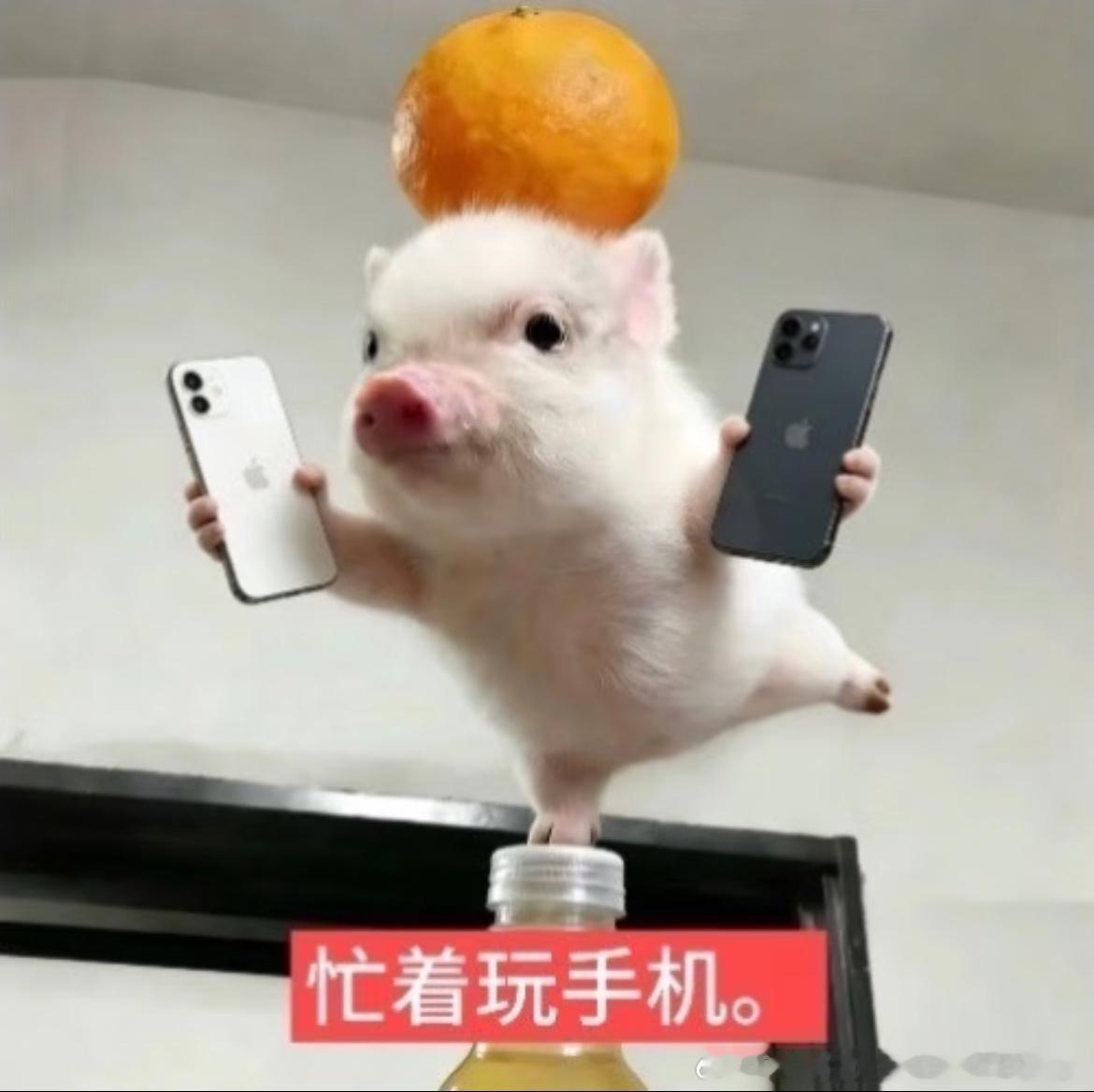 果奔。 