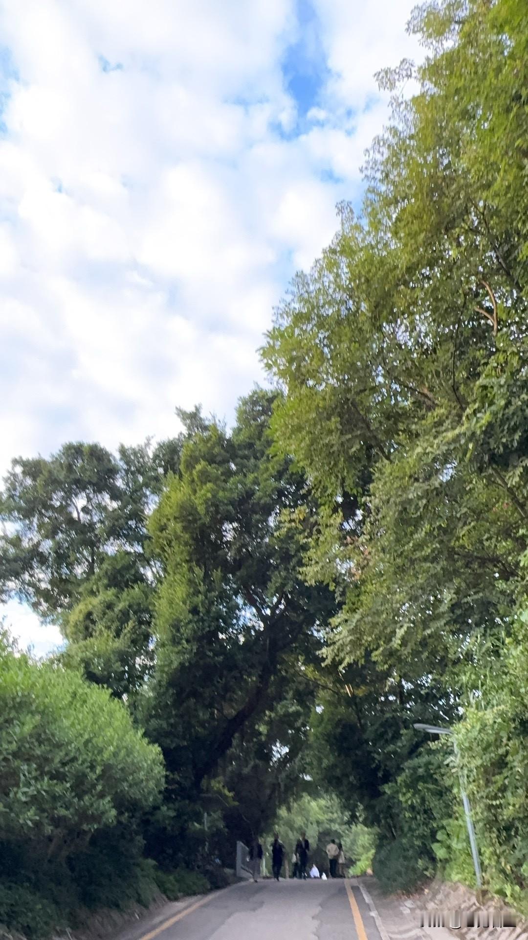 账号近两年没用，忽然收到这短信。互联网外卖平台，有没有强制绑定用户身份证的权力和