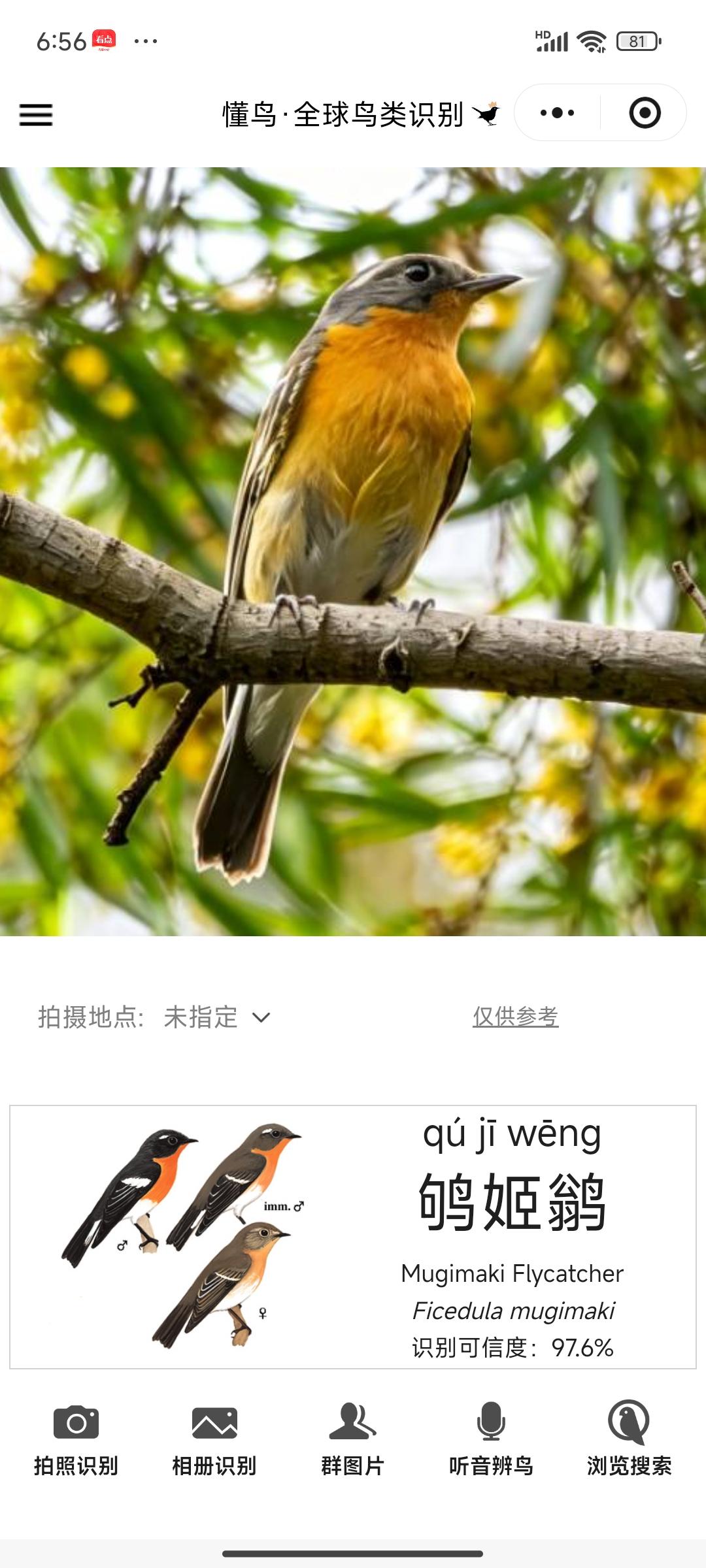 今日越秀公园真多鹟