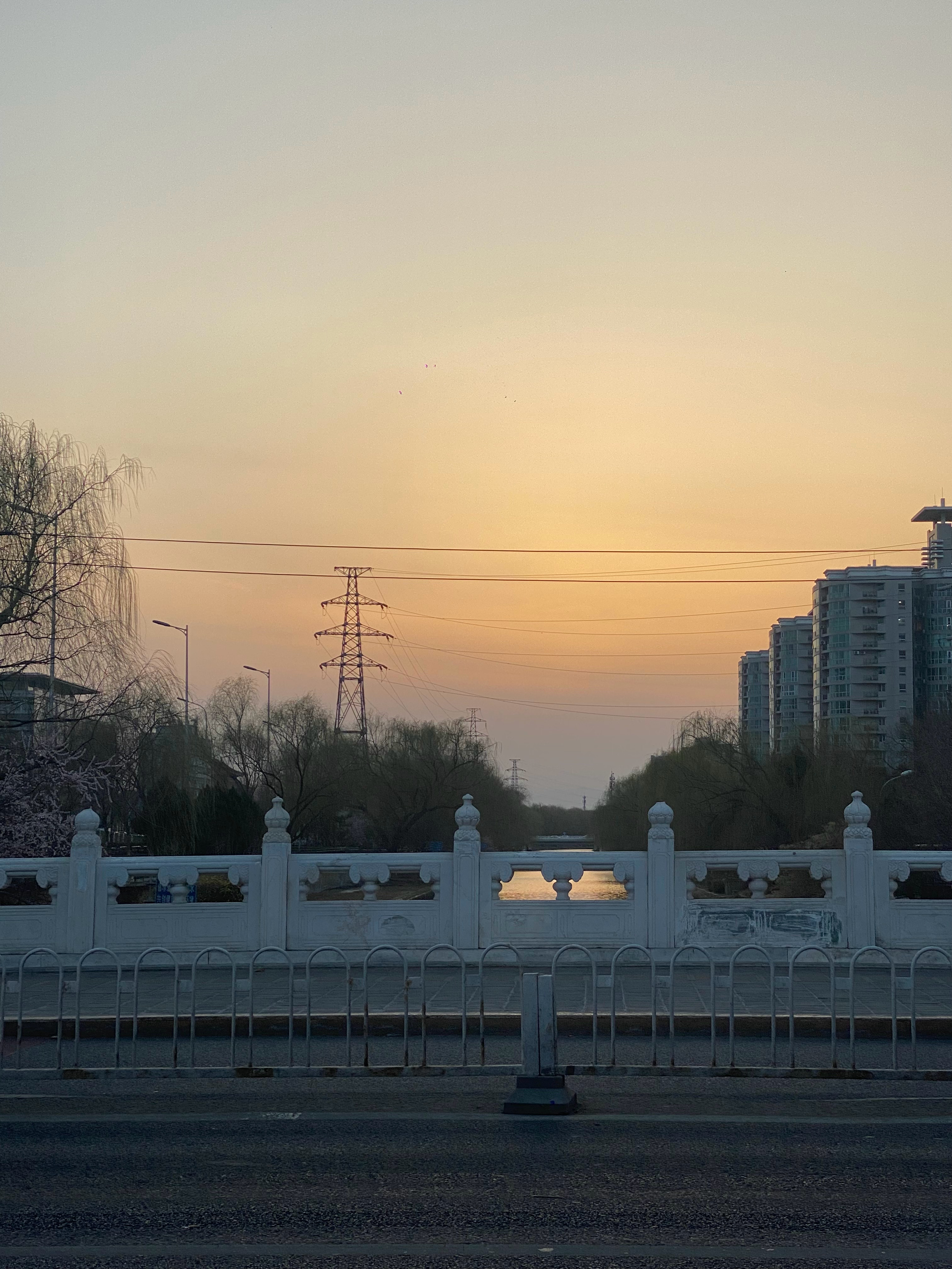 给姐姐妹妹哥哥弟弟姨姨叔叔们更新一下老铁健康快乐成长中😼 ​​​