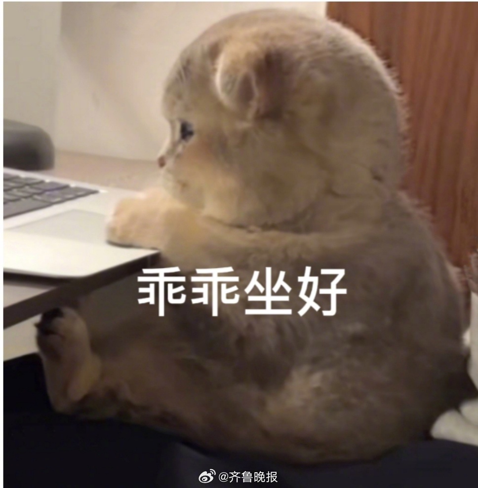 #早安# 认真对待生活的你，一定也会得到生活的馈赠