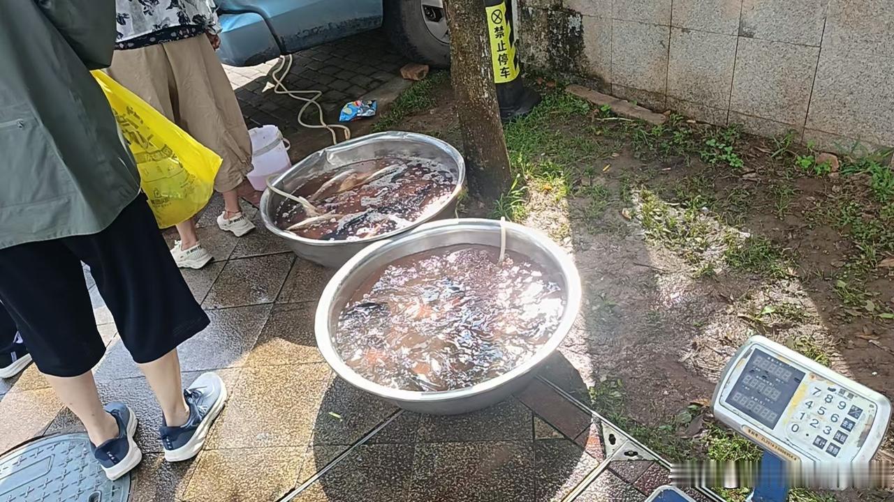 天鹅堡避暑房：房价虽降，幸福无价
几年前，华华在贵州天鹅堡买了一室一厅的电梯房，