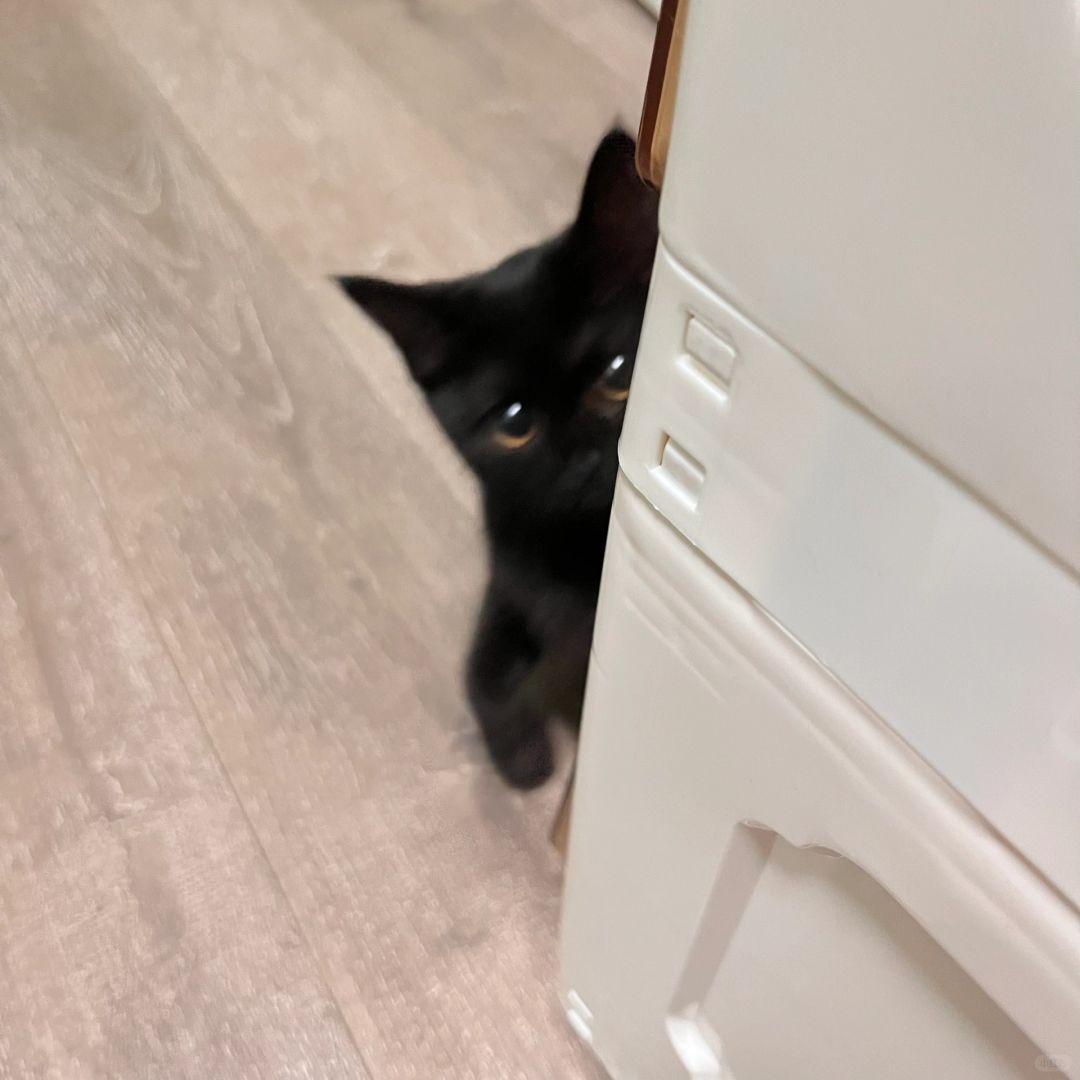 偷、、偷看被发现啦！