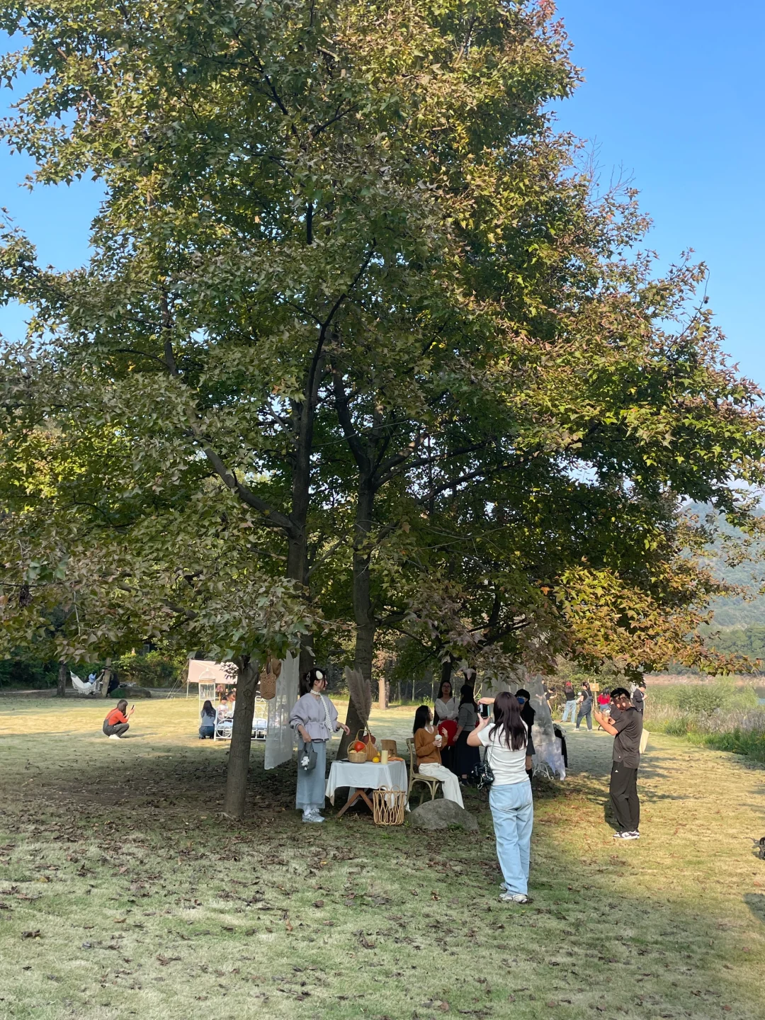 湖州阿勒泰11月3日live图