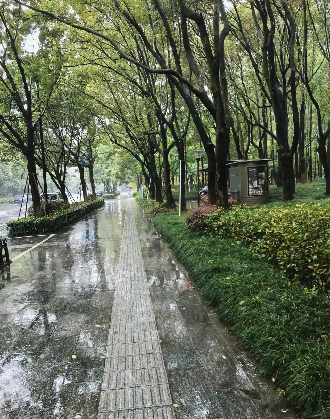 “比上不足，比下有余”，常被人当作一种中庸的生活态度。但如果仔细琢磨，你会发现这