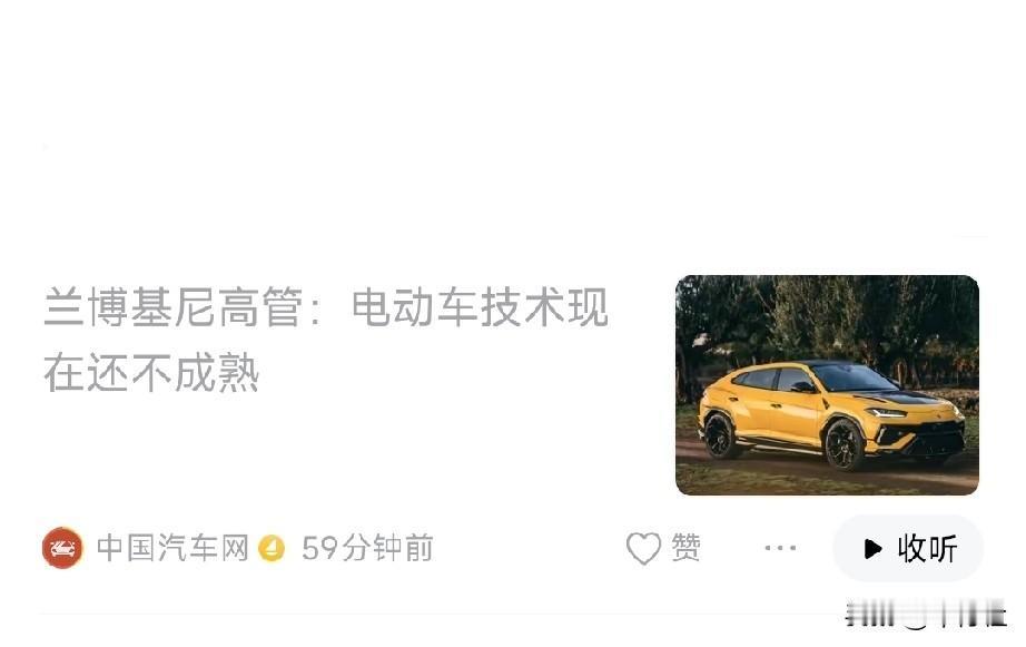 以欧洲目前的发展水平来说
这句话可能没错
但是也建议兰博基尼的这位老总
应该多来