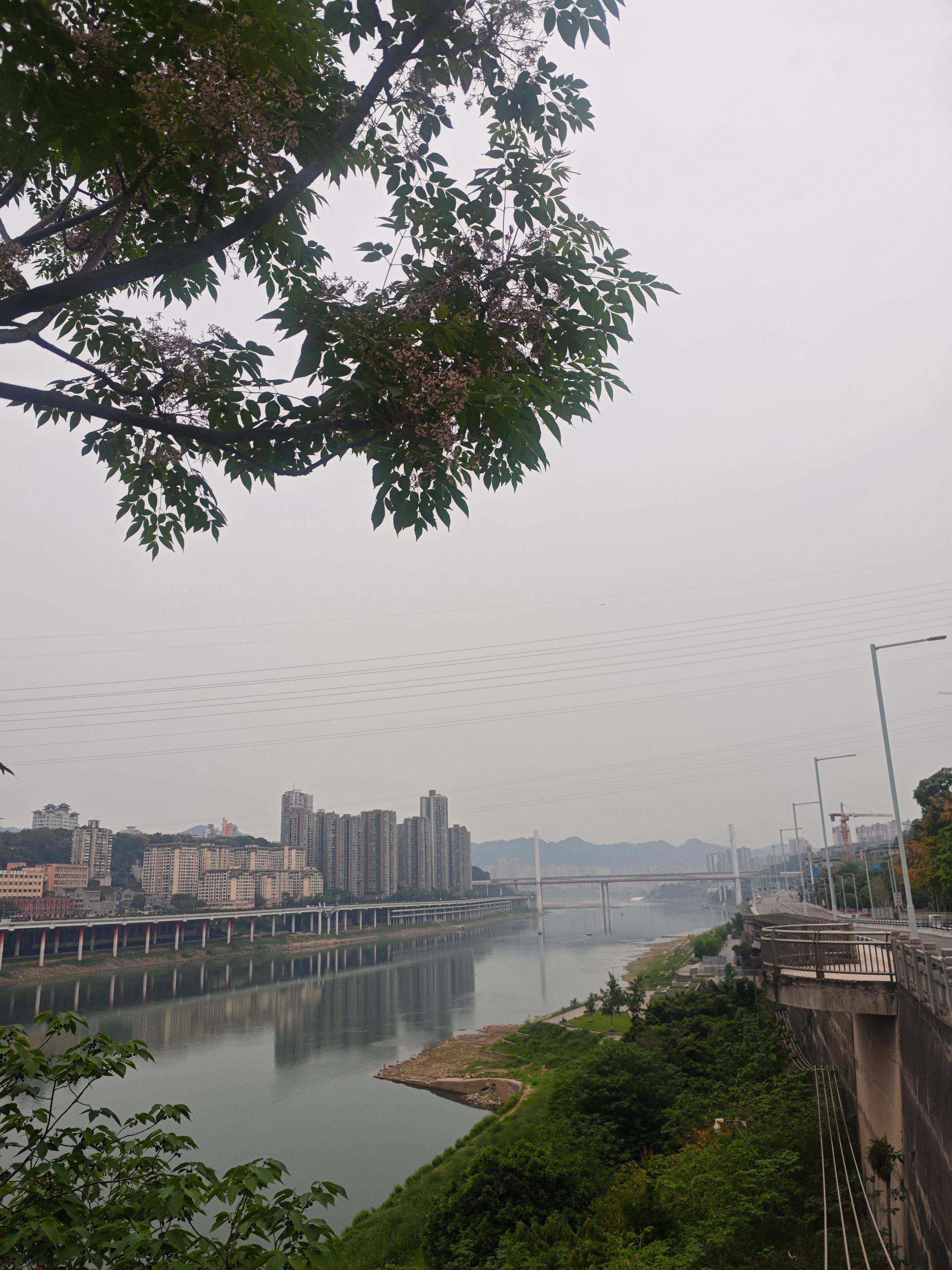 周末开跑天气预报今天暴雨，实际早上温度合适，跑起来有微风也舒服；常规路线，沿着滨