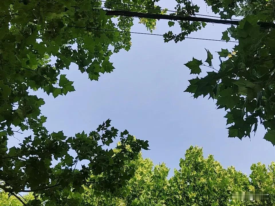 如今违规催收的花招真是越来越离谱，为了逼迫负债人还钱，各种无底线的骚操作层出不穷