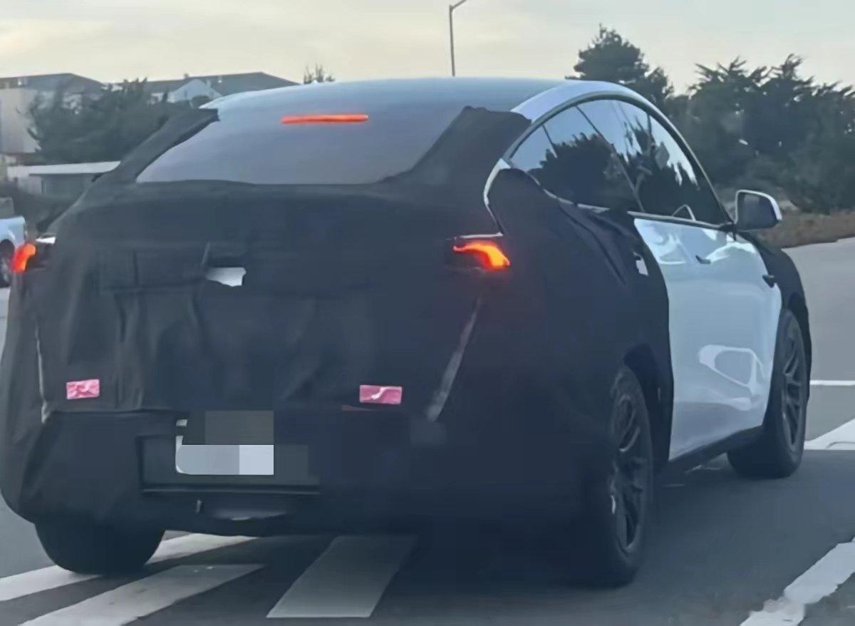 特斯拉Model Q现身上海路试，网传14至16万定价，不少准备入手15万级电车