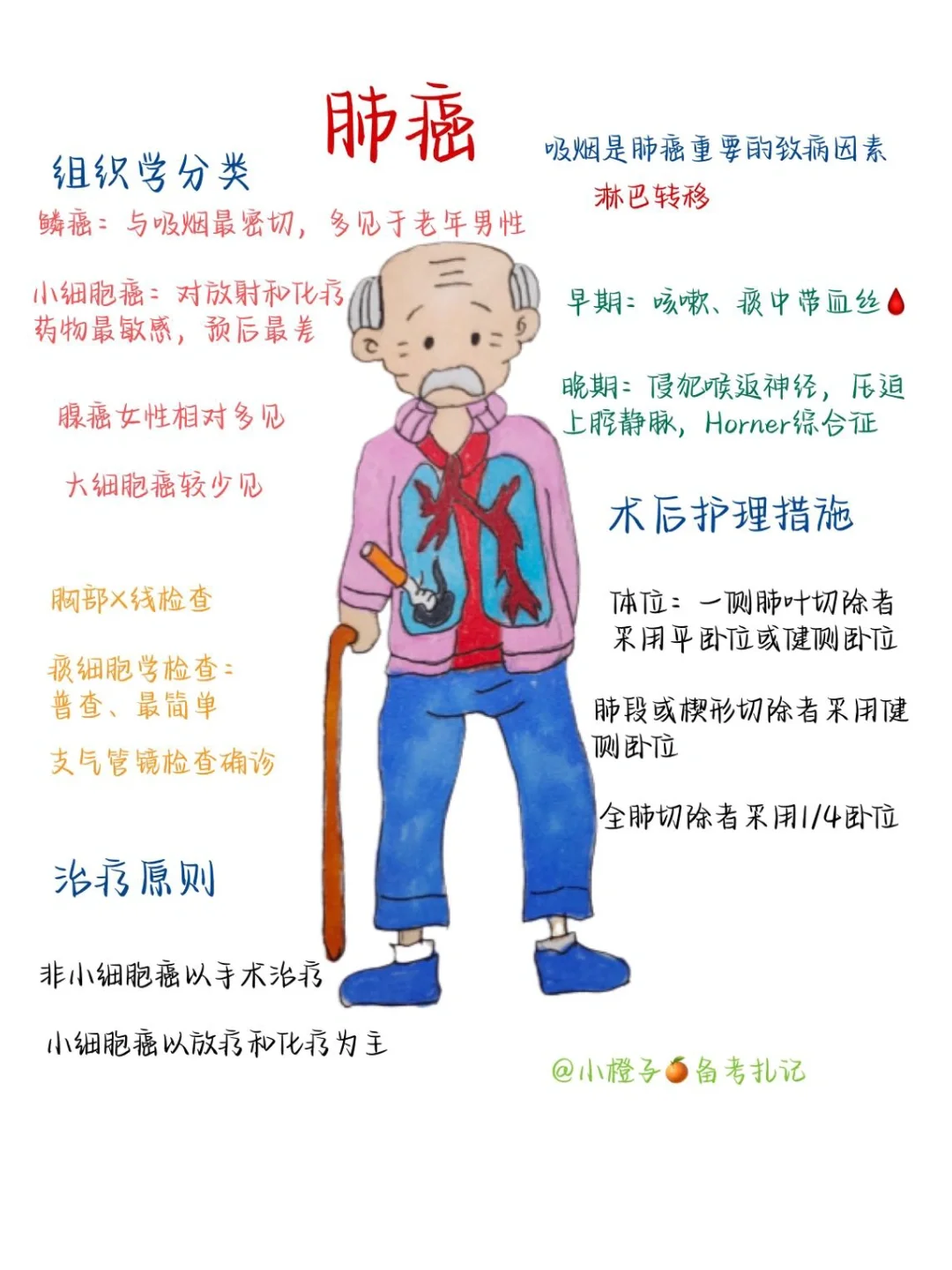 📖护师笔记｜内科护理学｜肺癌🫁