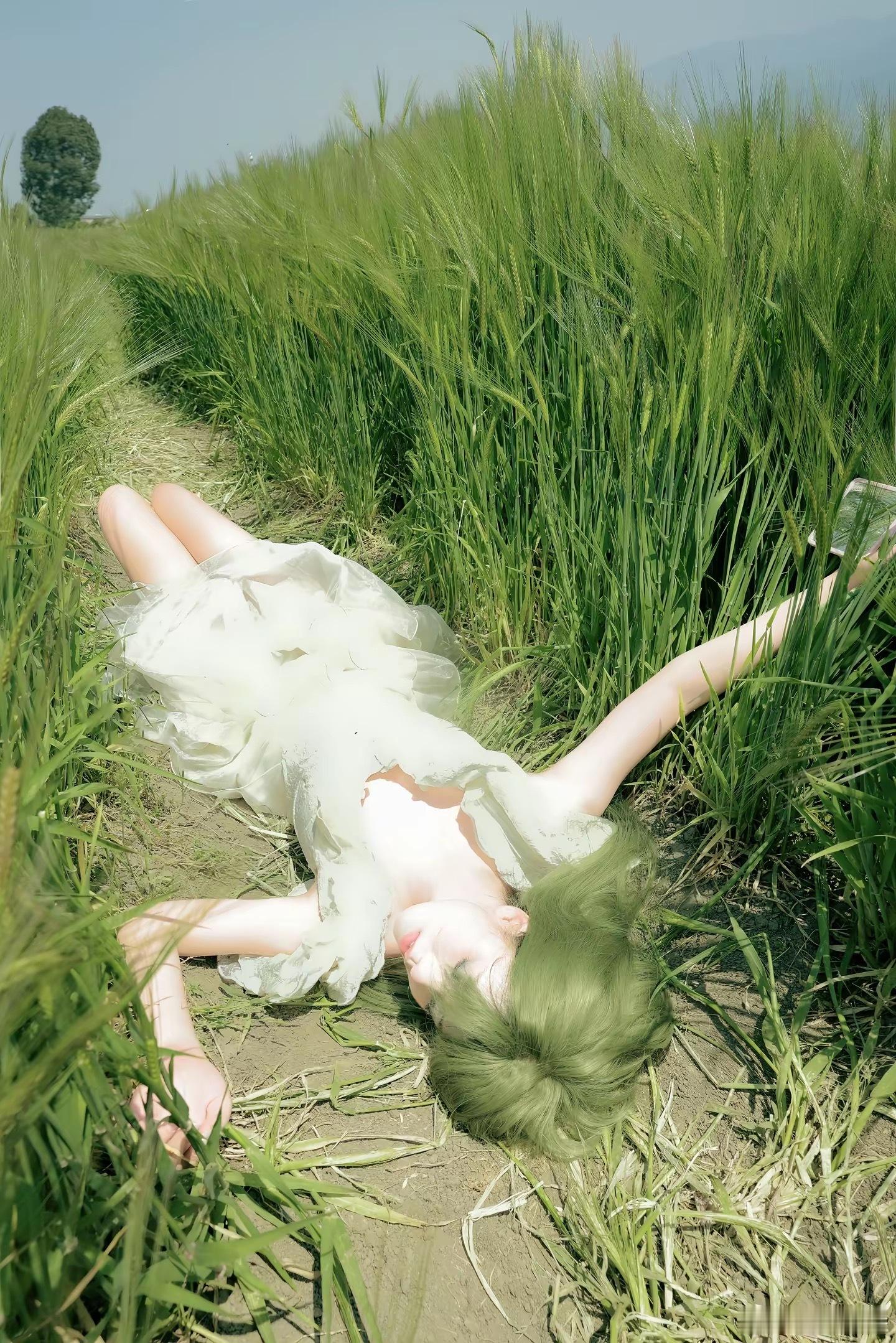 年度图片2～潘呀潘潘摄影