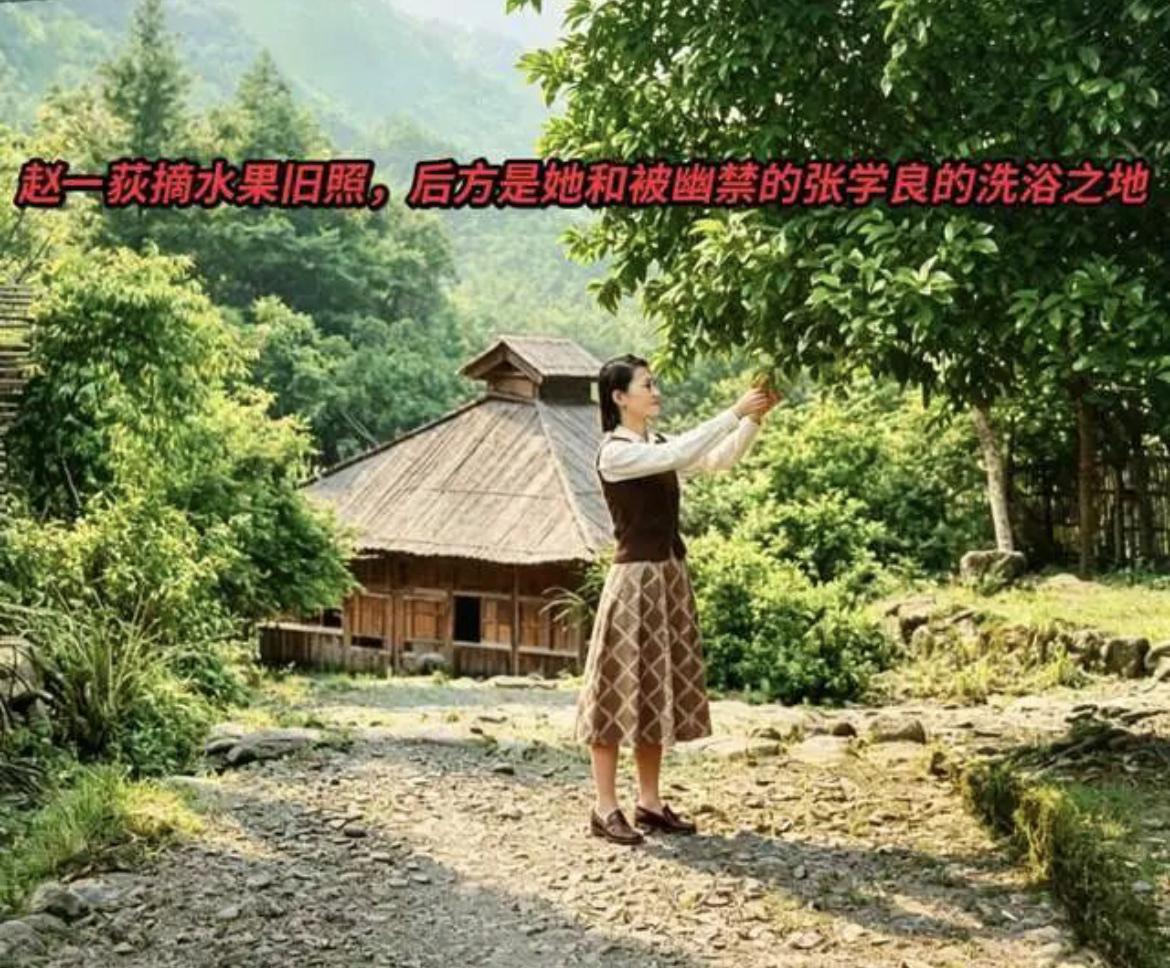 老照片：上世纪五十年代左右，被幽禁的张学良镜头下的赵四小姐（赵一荻）摘水果旧照，